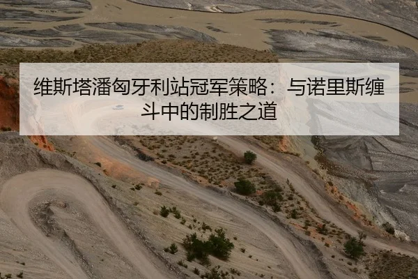 维斯塔潘匈牙利站冠军策略：与诺里斯缠斗中的制胜之道