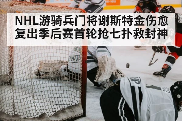 hockey save